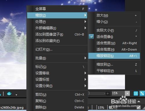 ACDSee查看模式如何固定百分比或适合图像显示