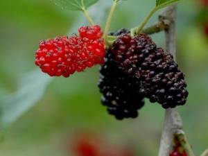 头发越来越少吗?治疗脱发方法