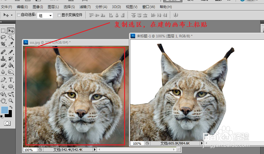 photoshop中怎么用钢笔工具抠图