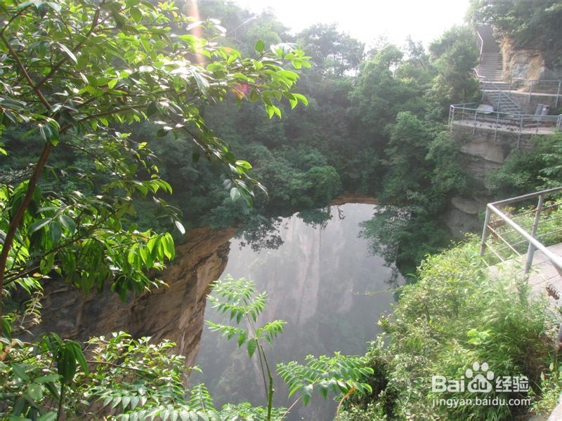 学生张家界旅游攻略
