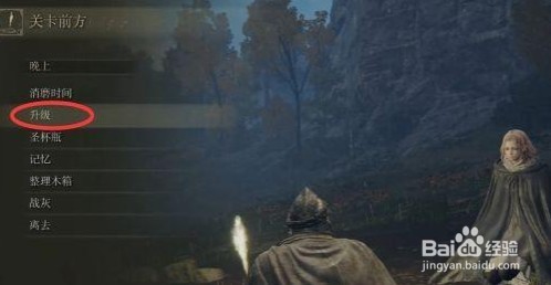 艾尔登法环怎么升级