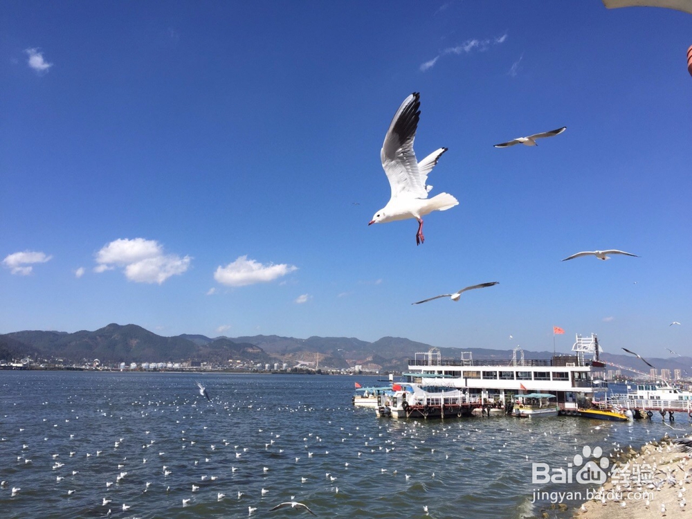 昆明端午旅游攻略