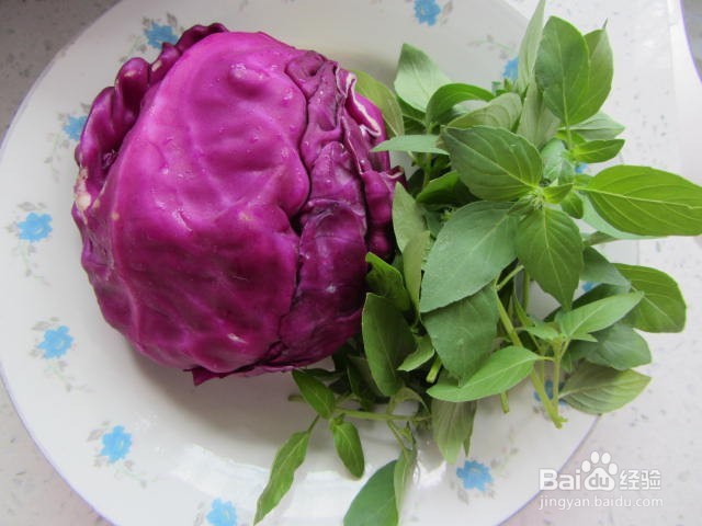 荆芥拌紫甘蓝