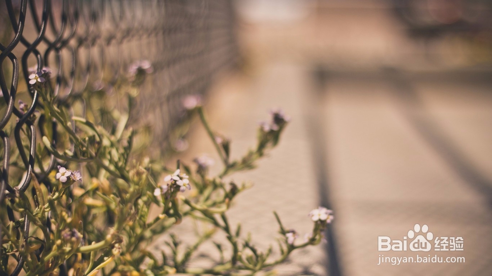 我单纯不代表蠢，爱你是真的，不爱你也是真的