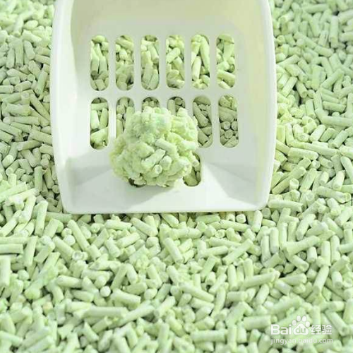 给宠物猫使用猫砂前需要做哪些准备?