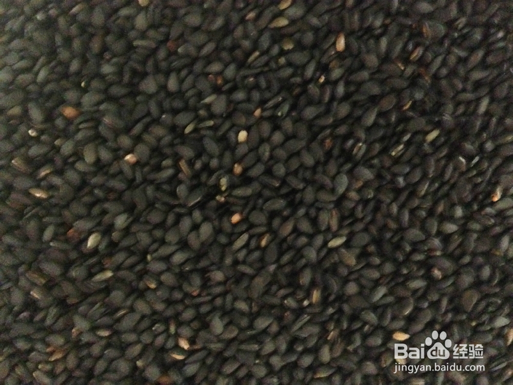 如何磨制芝麻粉