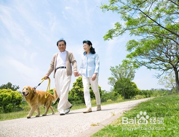 如何科学的散步？