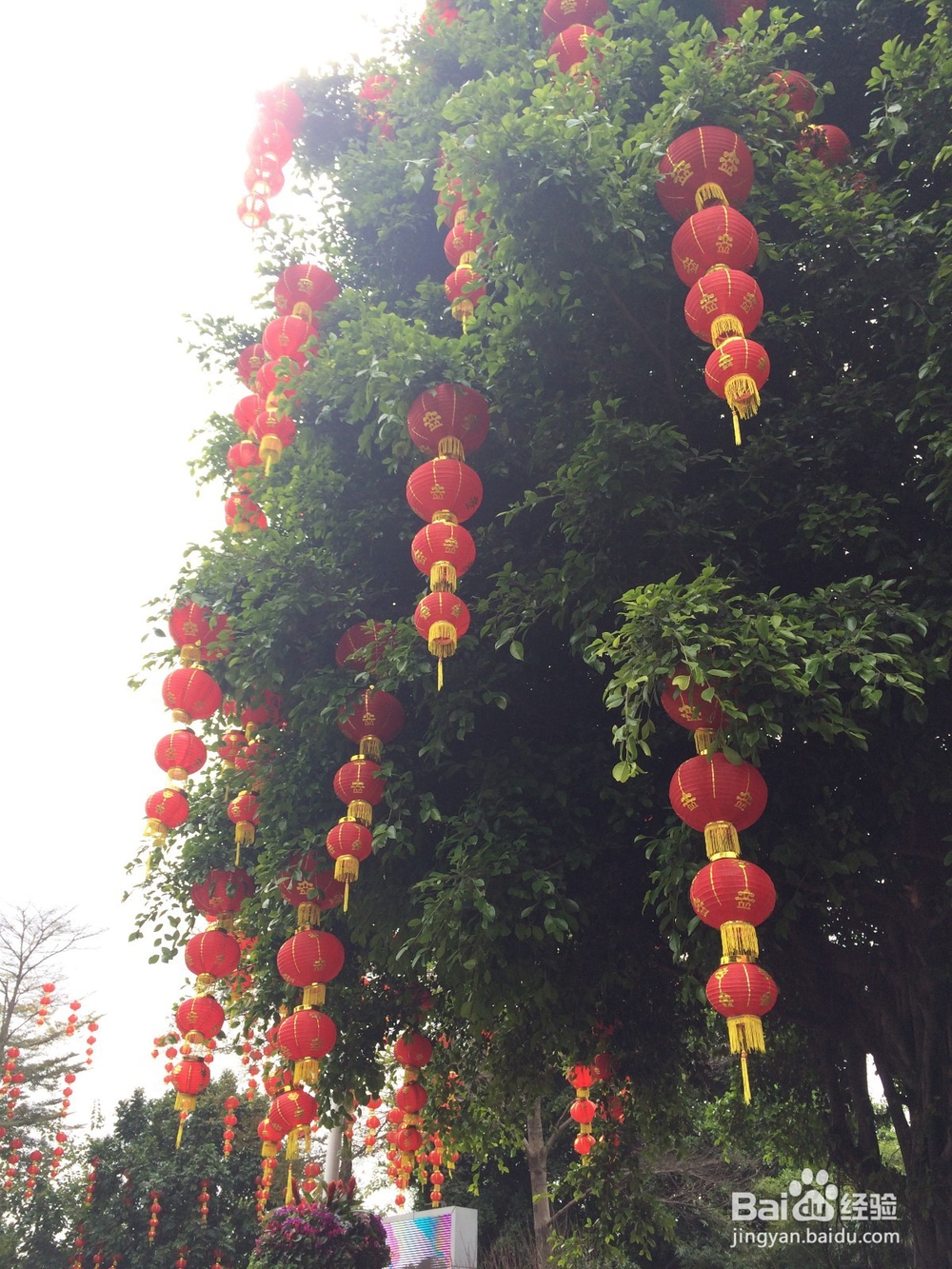 怎么拍照好看