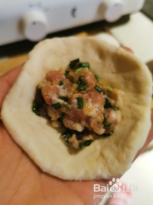 美味的猪肉馅饼