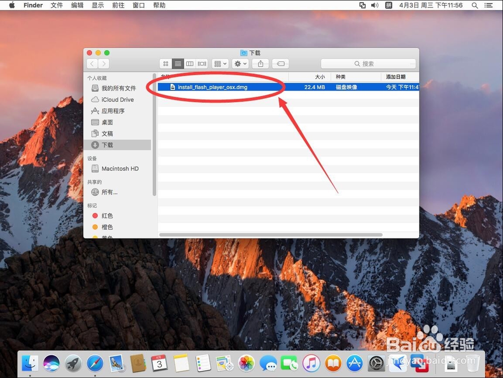 苹果电脑Mac系统如何安装Adobe Flash Player