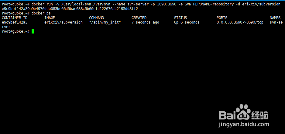 Docker中安装配置SVN服务器