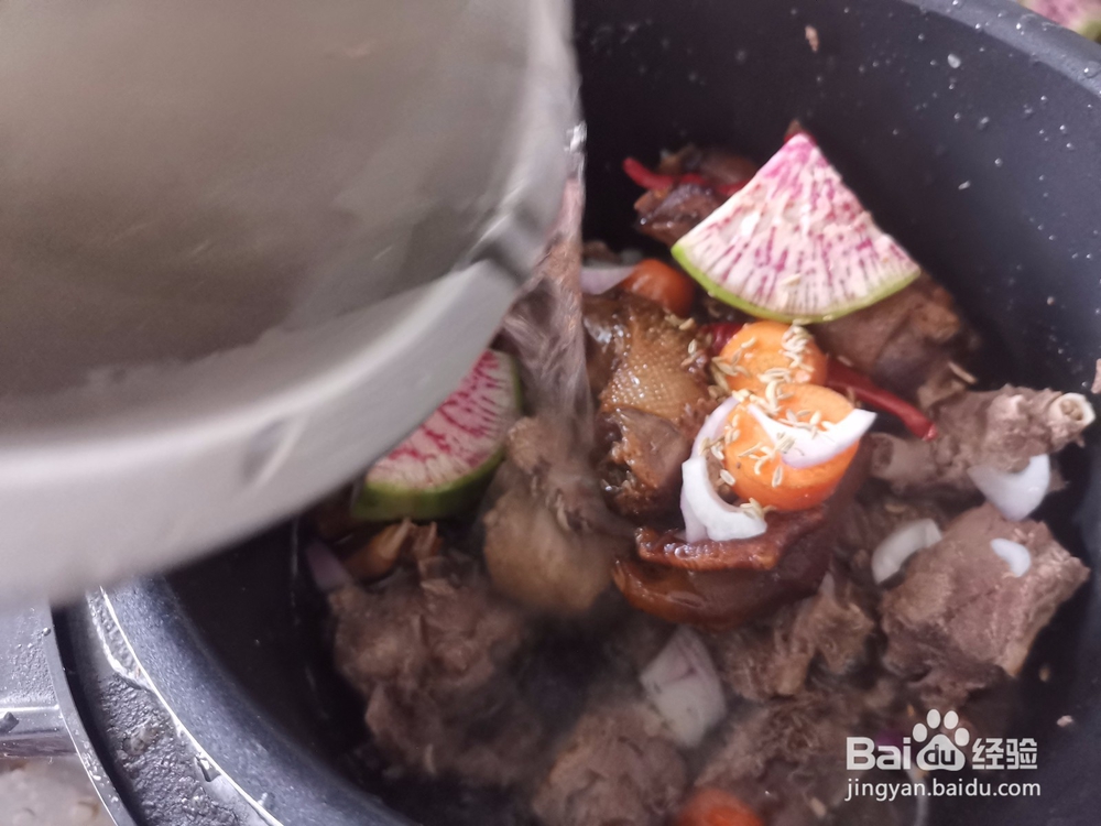 高压锅炖鹅肉