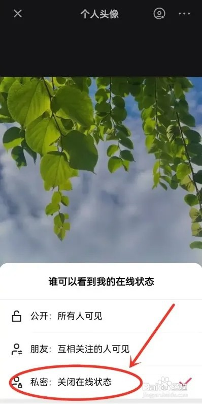 快手极速版APP如何设置隐身状态