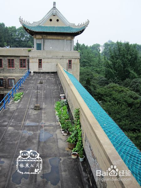 游.武汉——国立武汉大学