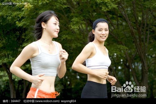 教你如何健康减肥