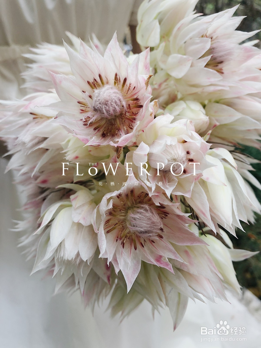 花栖花艺教大家艺术插花的基本技巧