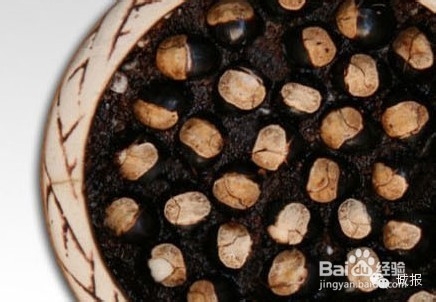 柚子、桂圆、火龙果，都可以变成有趣的盆栽