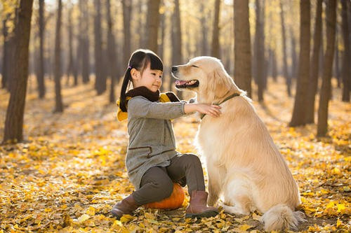说明性作文    范文