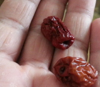 小米南瓜粥的做法