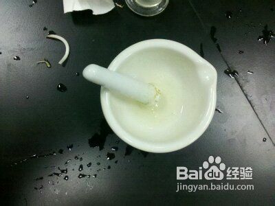怎样提取植物中可溶性蛋白质含量的方法