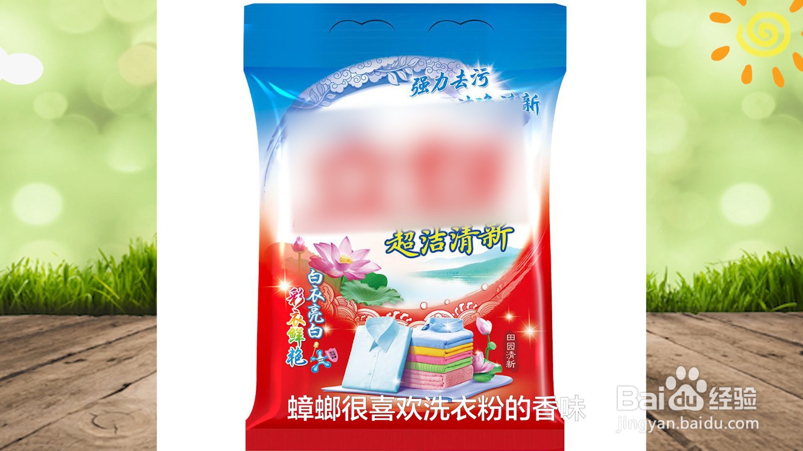 如何消灭蟑螂最有效的方法