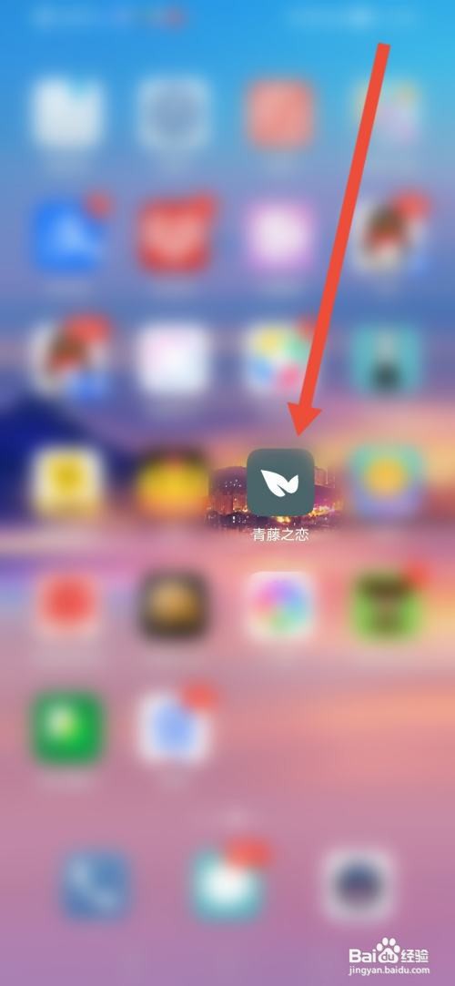 青藤之恋如何开启隐身