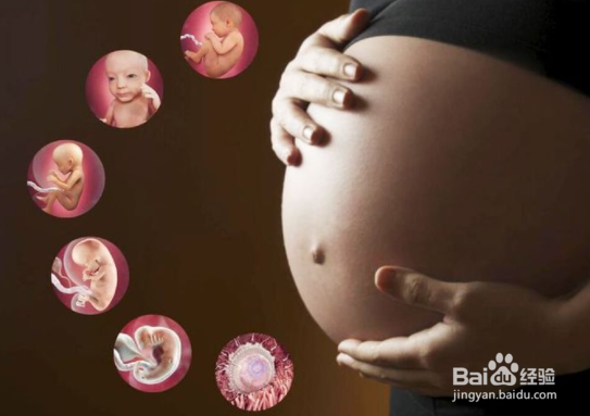 孕期每个阶段，胎儿需要什么营养素？