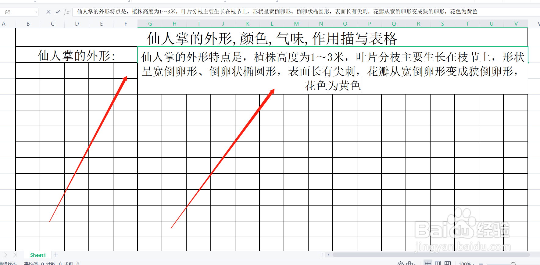 仙人掌的外形,颜色,气味,作用