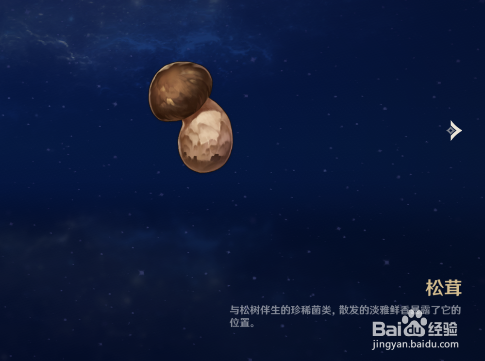 原神中如何查看松茸物品的解说