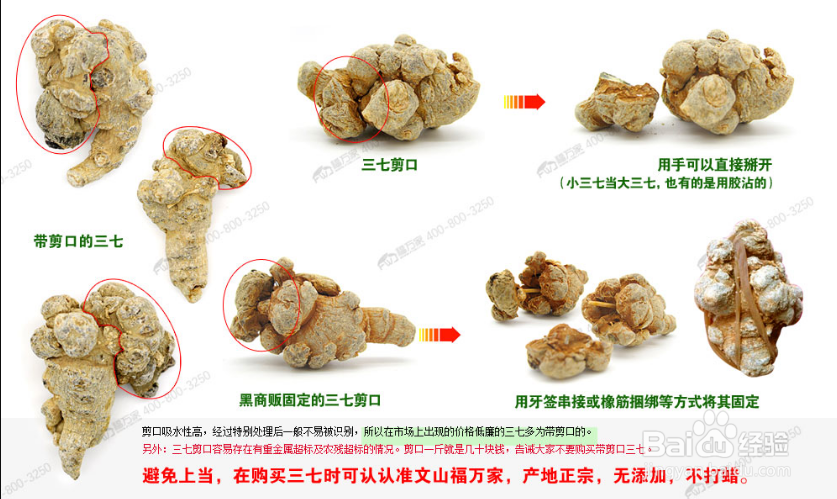 怎么挑选三七？购买三七时要注意哪些细节！