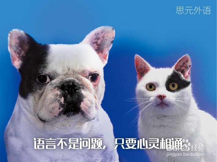 和日本年轻人聊天，离不了这些省略语