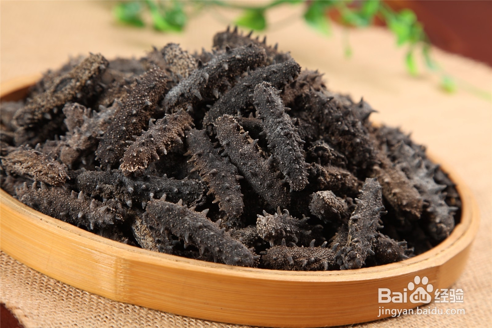 海参是如何繁殖的?