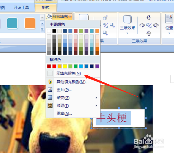 word中的图片怎么插入文字
