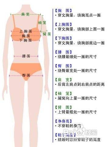 定做婚纱如何测量尺寸