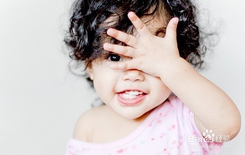 怎么训练拉布拉多