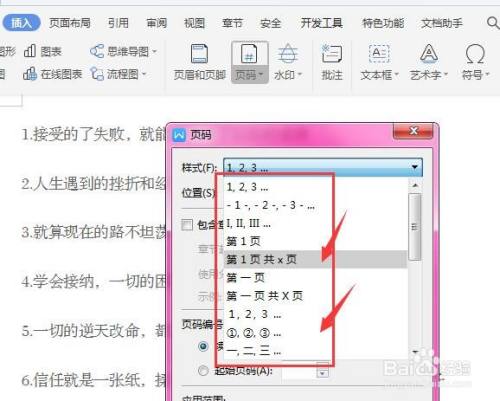 在WPS文档中如何更改插入页码的样式
