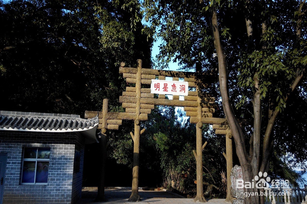 去玉溪必游的十大景点都是哪里？