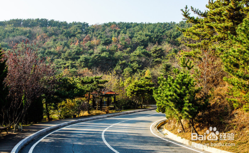 大连旅游攻略自助游