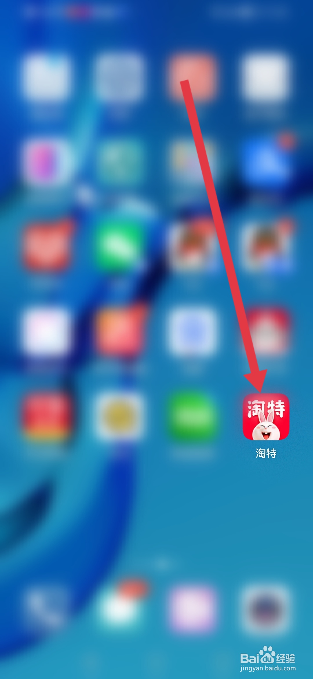 淘特怎么查看红包通用规则