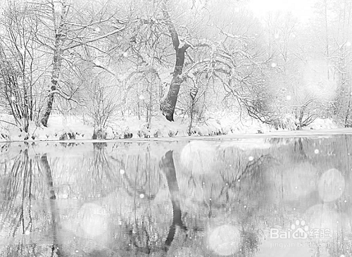 用计算机为图片自动着色