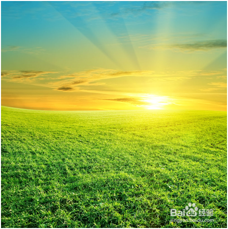 郁症会更容易感冒吗？疗效最好的感冒药是什么？