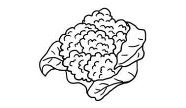 花菜的样子怎么画