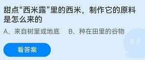 西米露里的西米原来是怎么来的?蚂蚁庄园
