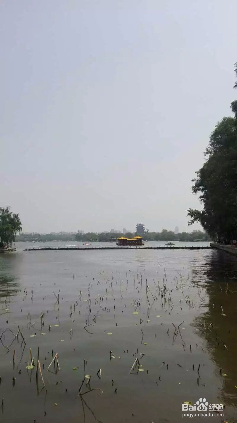 济南大明湖旅游攻略