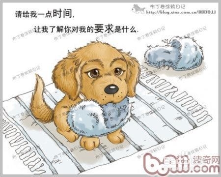 怎样哄你家生病的小狗狗主动吃