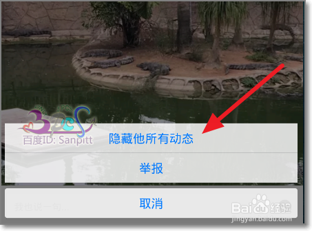 怎么不看对方QQ动态隐藏屏蔽她所有QQ好友动态