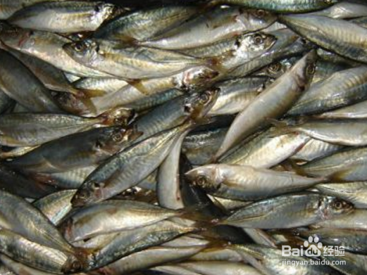 海鲜杂鱼锅一般包含哪些海鲜