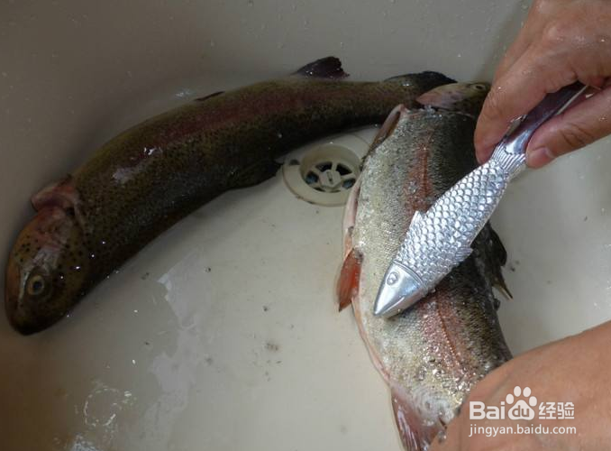 鱼肉和鱼骨头怎么分开