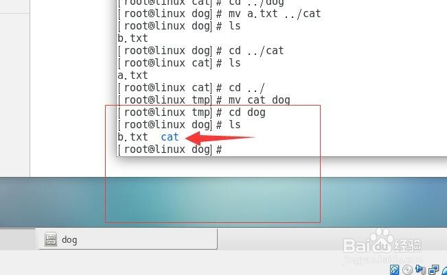 linux 文件移动至某个文件夹