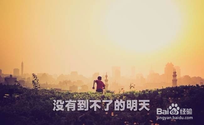 高考填报志愿注意点